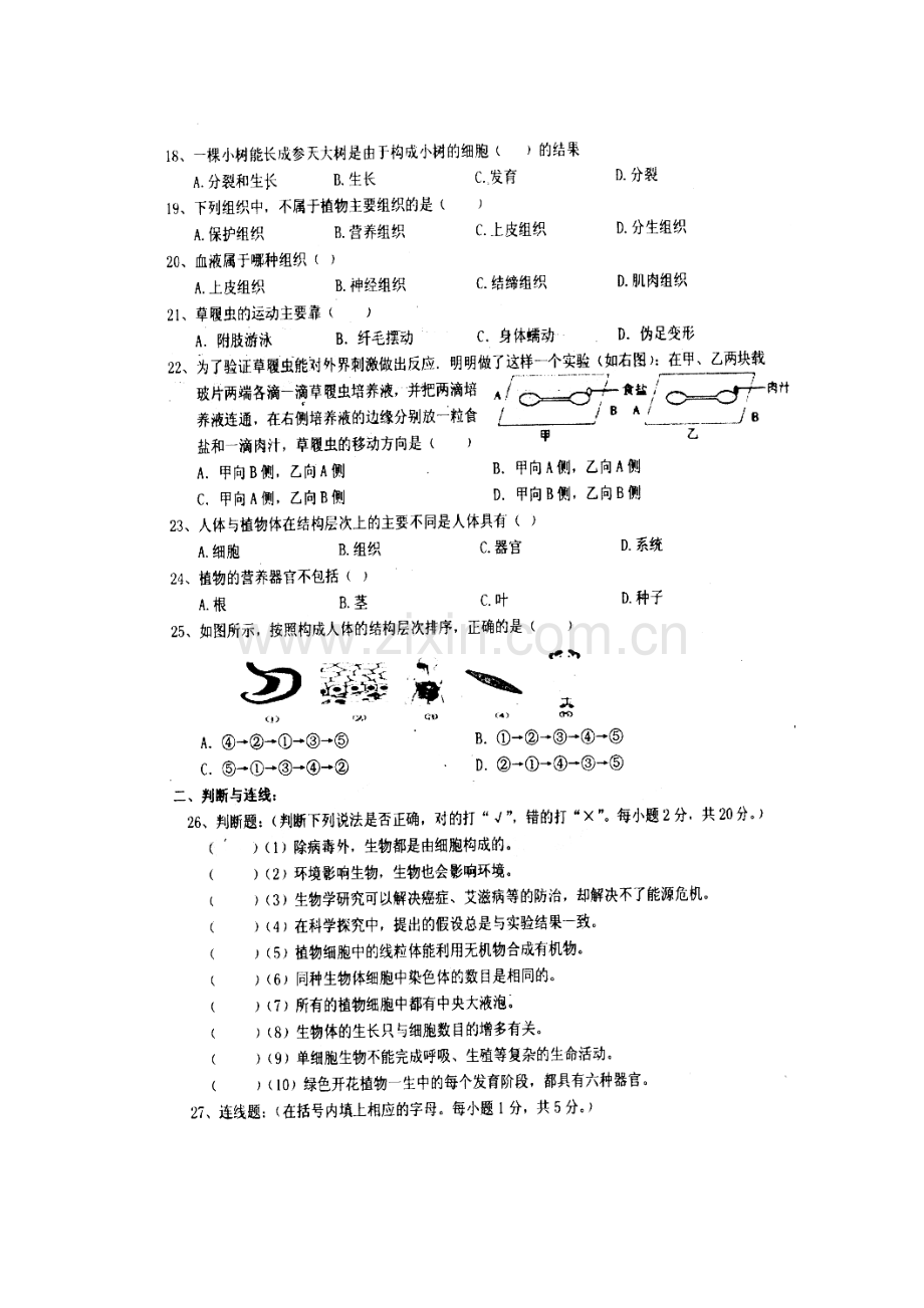 2017-2018学年七年级生物上学期期中检测试卷15.doc_第3页