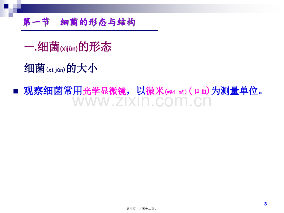 (1细菌的形态与结构.ppt_第3页