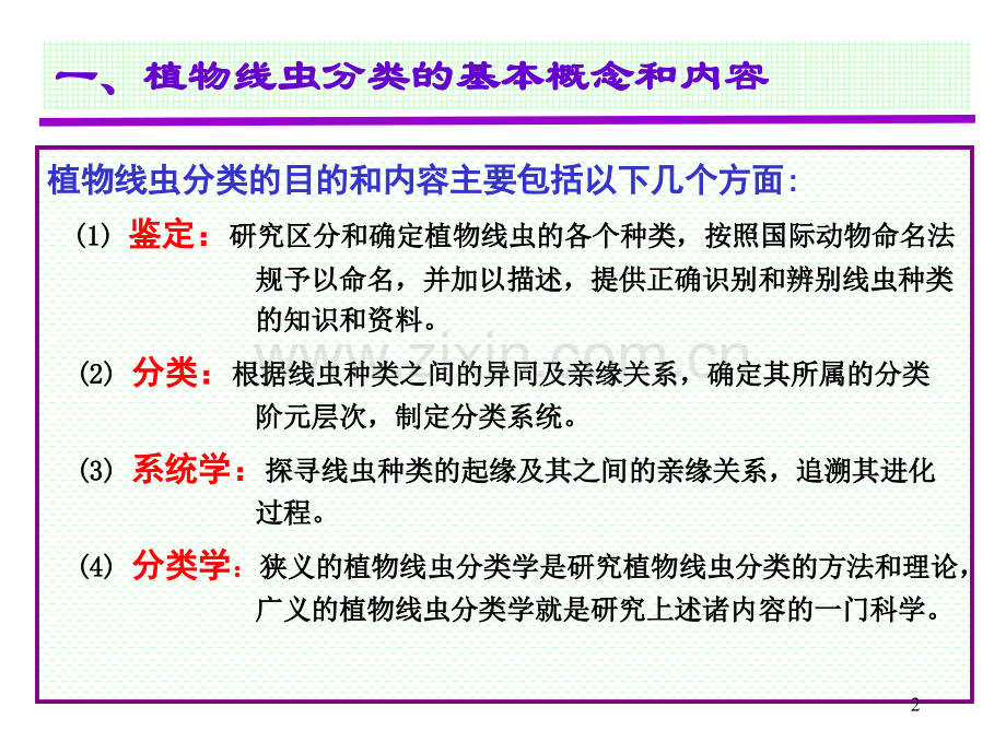 线虫的分类鉴定.ppt_第2页