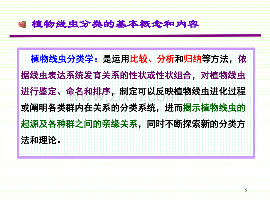 线虫的分类鉴定.ppt_第3页