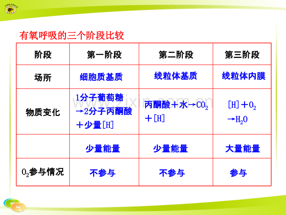 有氧呼吸的三个阶段比较.ppt_第1页