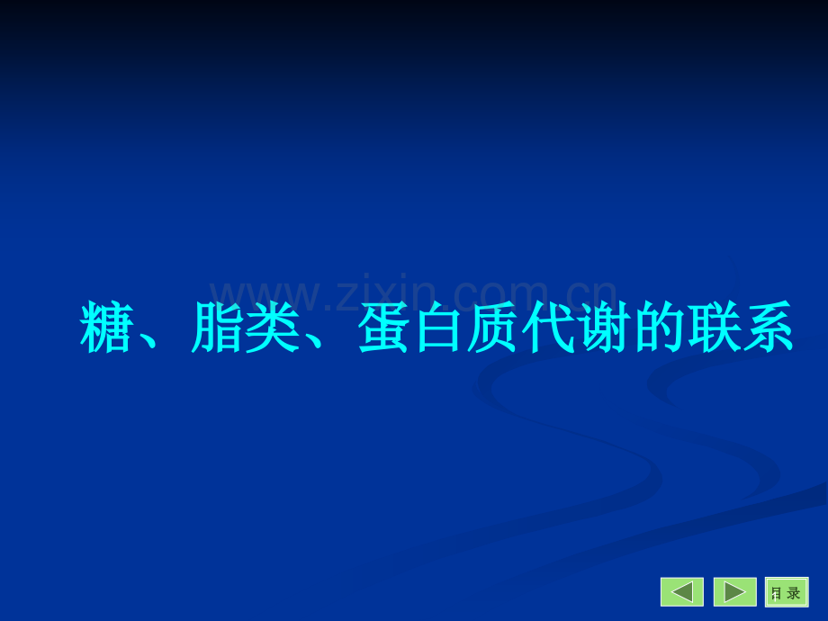 体内三大营养物质的代谢联系.ppt_第1页