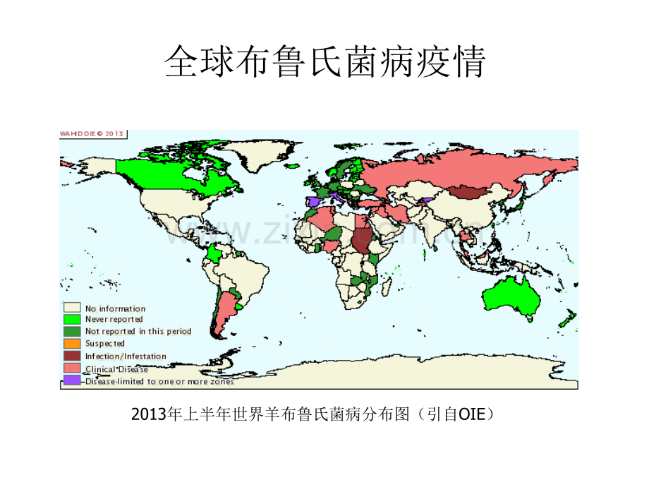 布病的实验室诊断【可编辑的PPT文档】.ppt_第2页