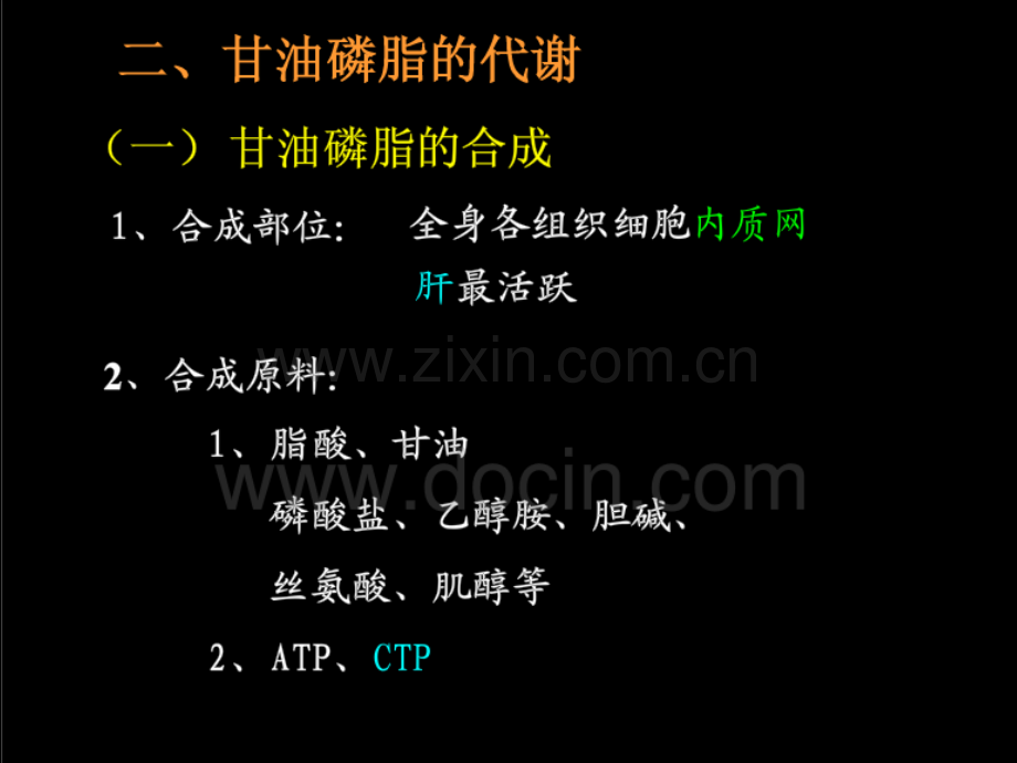 磷脂的合成与分解.ppt_第3页