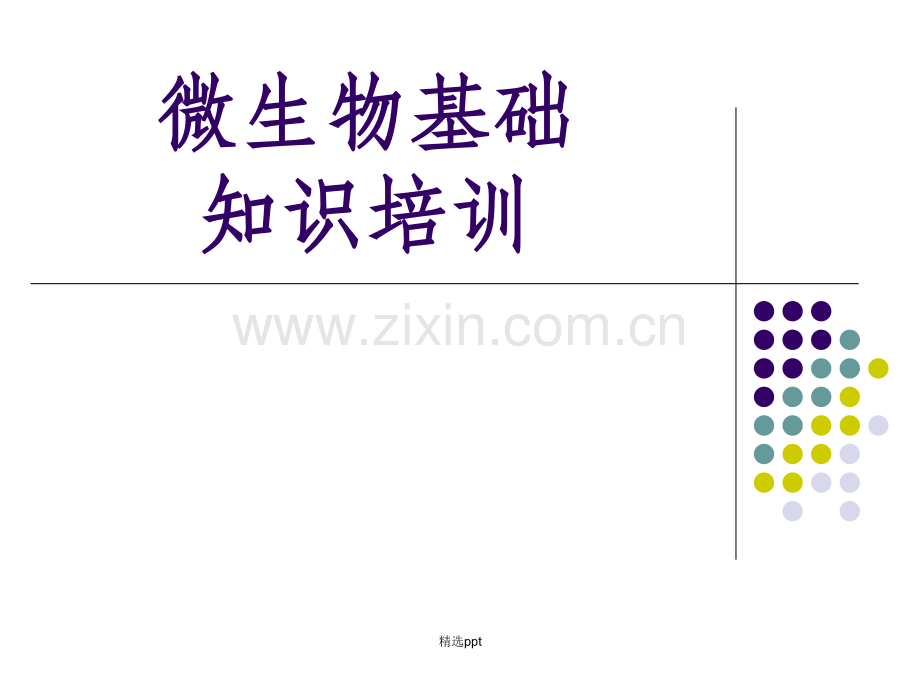 药厂微生物基础知识培训.ppt_第1页