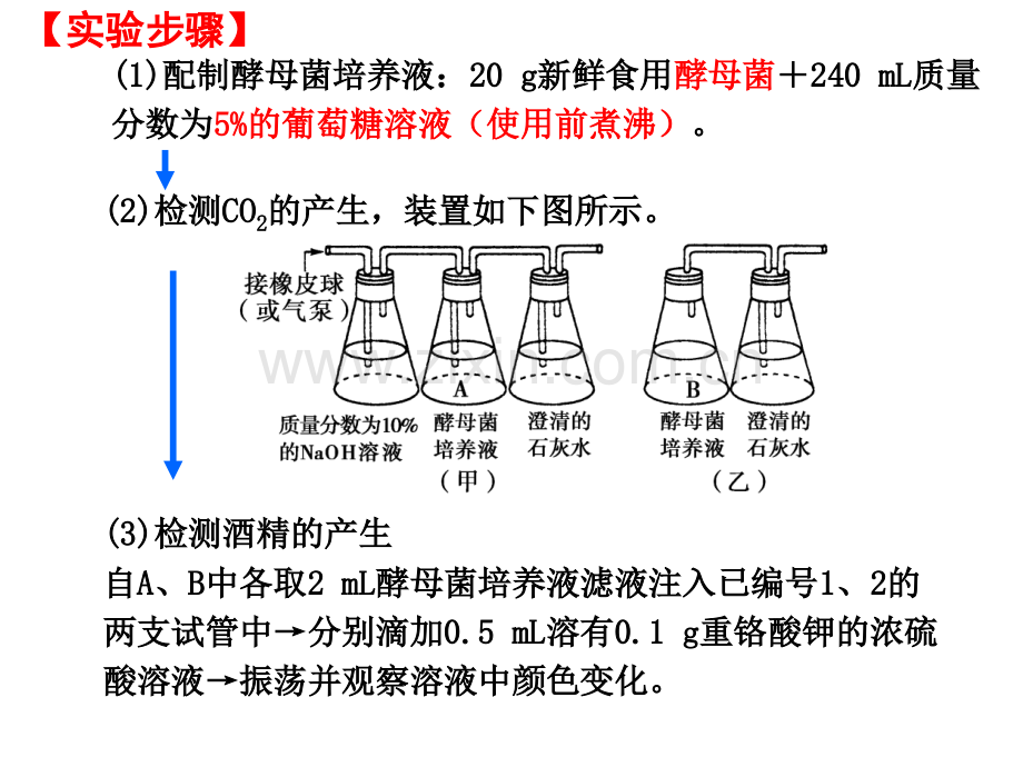 探究酵母菌细胞呼吸的方式实验.ppt_第2页