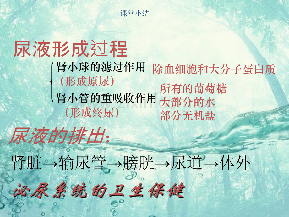 尿量的观察与护理.ppt_第1页