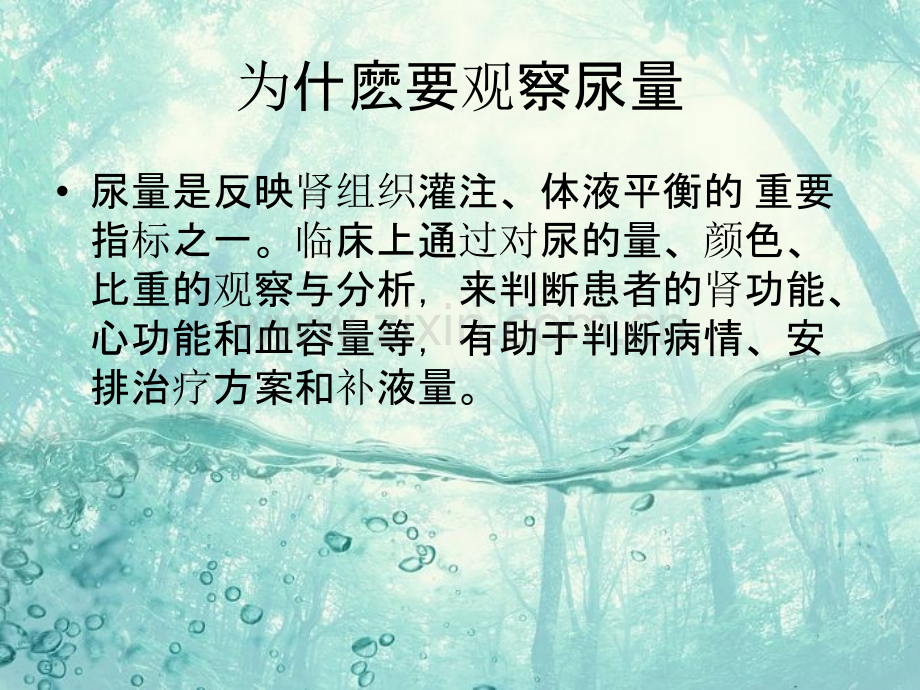 尿量的观察与护理.ppt_第2页