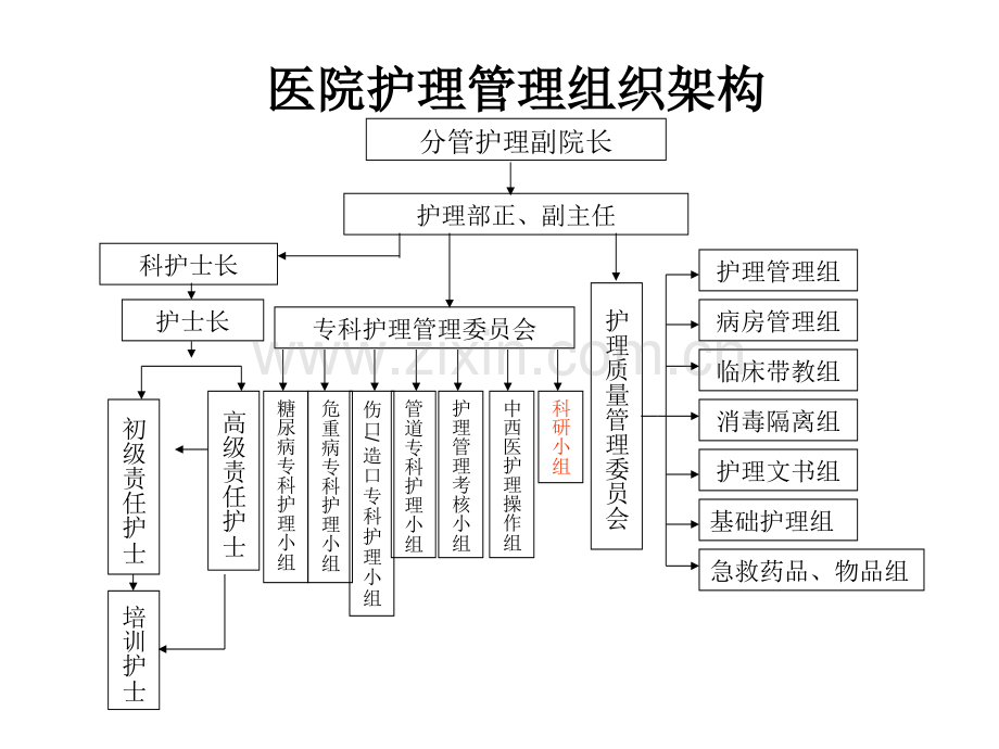 医院护理管理组织架构.ppt_第1页