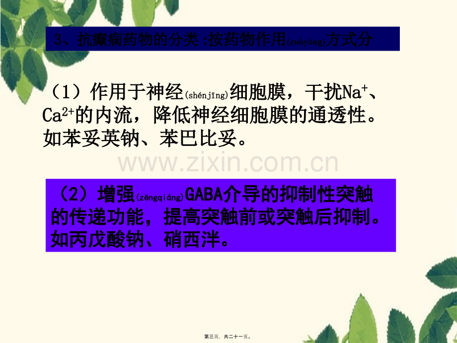 第十二章-抗癫痫药和抗惊厥药第一节-抗癫痫药.ppt_第3页