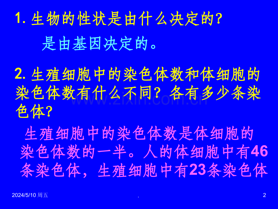 八年级生物下册人的性别遗传(公开课).ppt_第2页