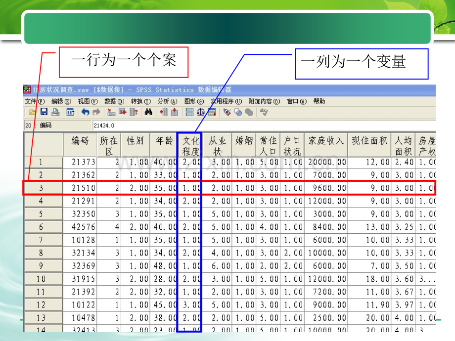 第二章-SPSS数据文件的建立和管理.ppt_第3页