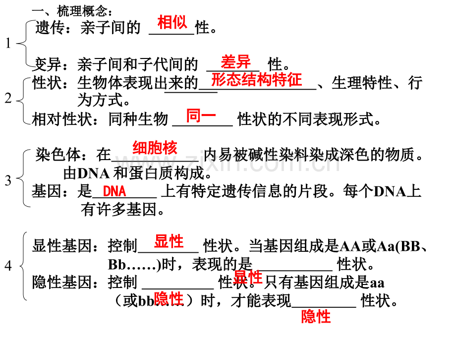 初中生物生物的遗传和变异复习课.ppt_第3页