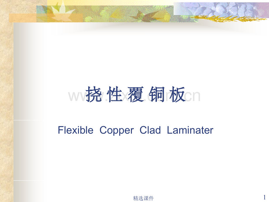 《FCCL基础介绍》.ppt_第1页