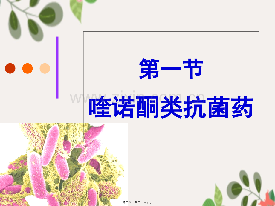 yl人工合成抗菌药.pptx_第2页