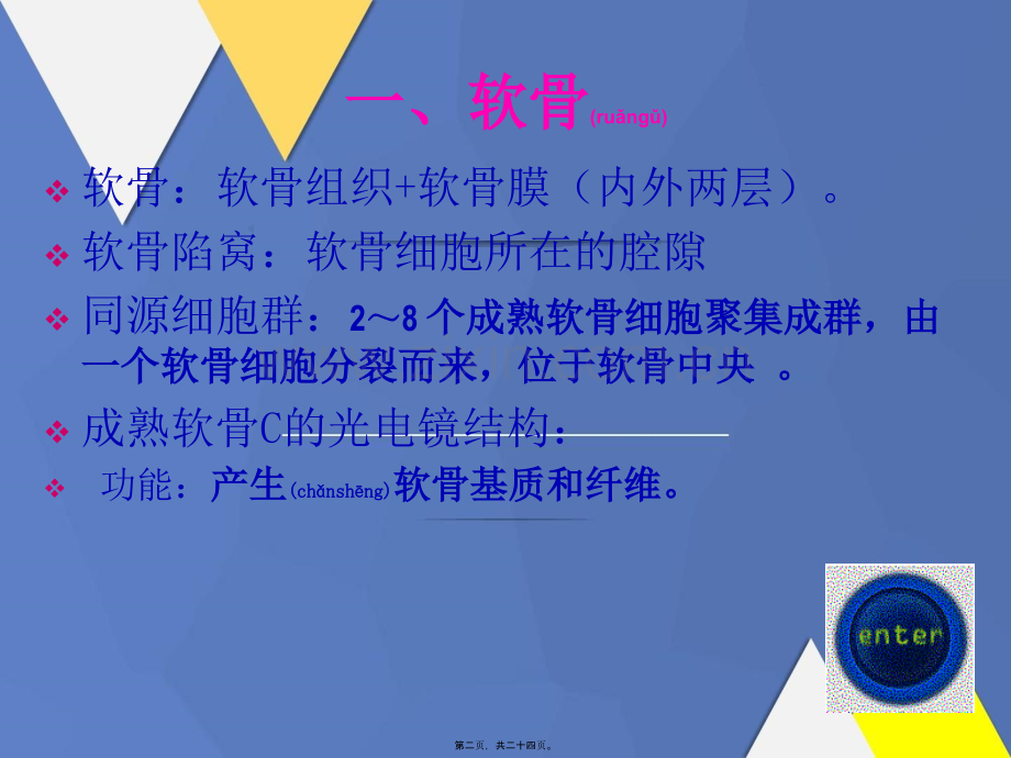 【组织学与胚胎学】软骨与骨.ppt_第2页