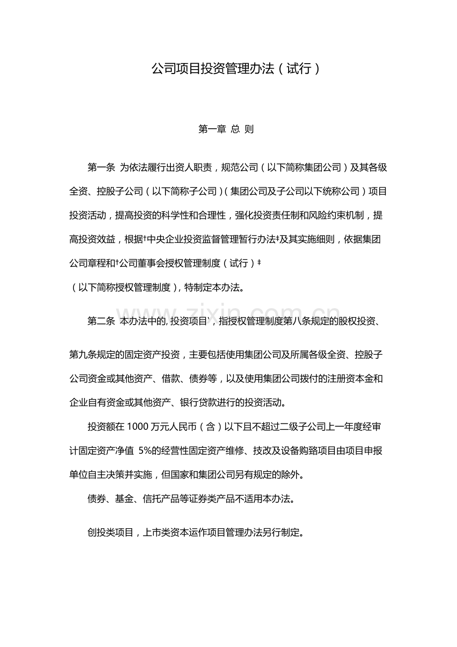 国有公司项目投资管理办法(试行)模版.docx_第1页