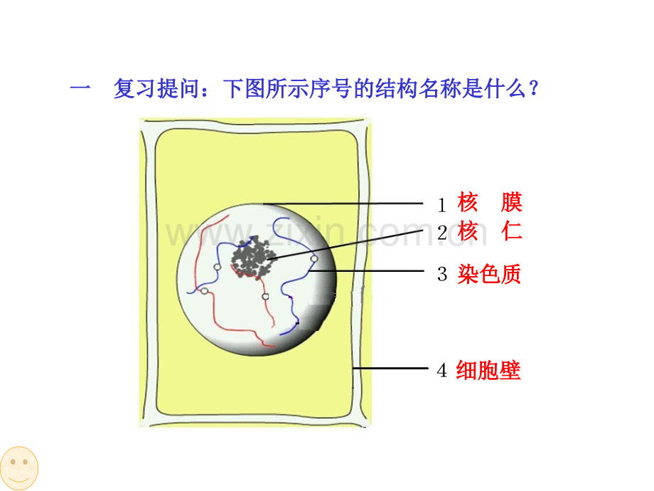 细胞的增殖公开课课件.ppt_第2页