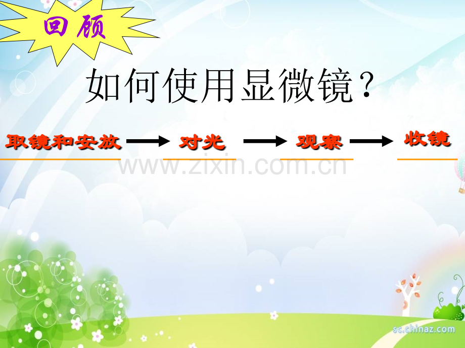 制作并观察植物细胞临时装片.ppt_第2页