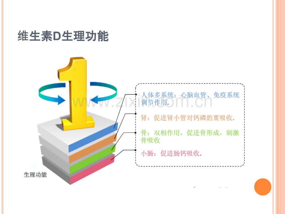 维生素D缺乏与钙吸收利用基因检测介绍.ppt_第3页