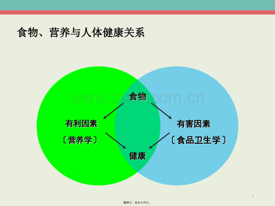 47、营养学基础(2)精要..pptx_第3页