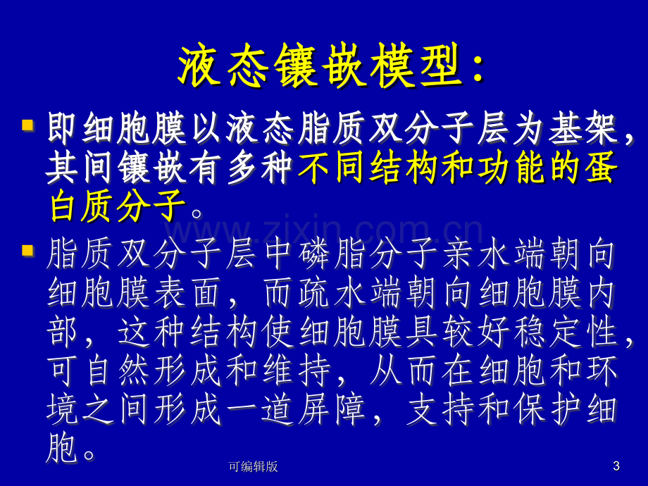 细胞的基本功能(2).ppt_第3页