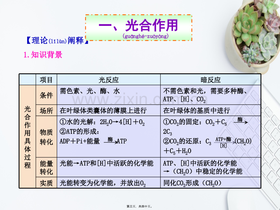 光合作用与细胞呼吸综合题的解题方法.ppt_第3页