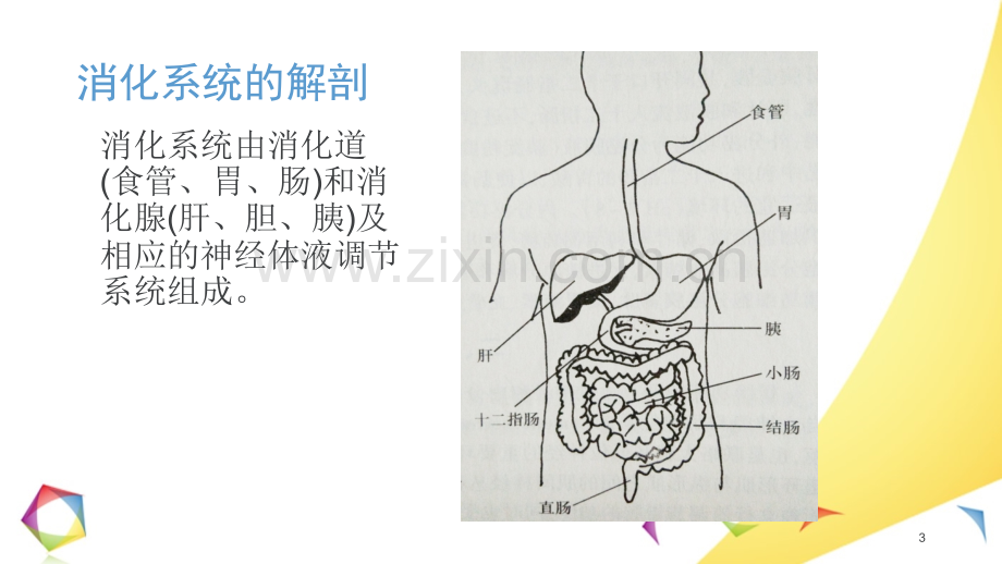 上消化道出血小讲课0.ppt_第3页