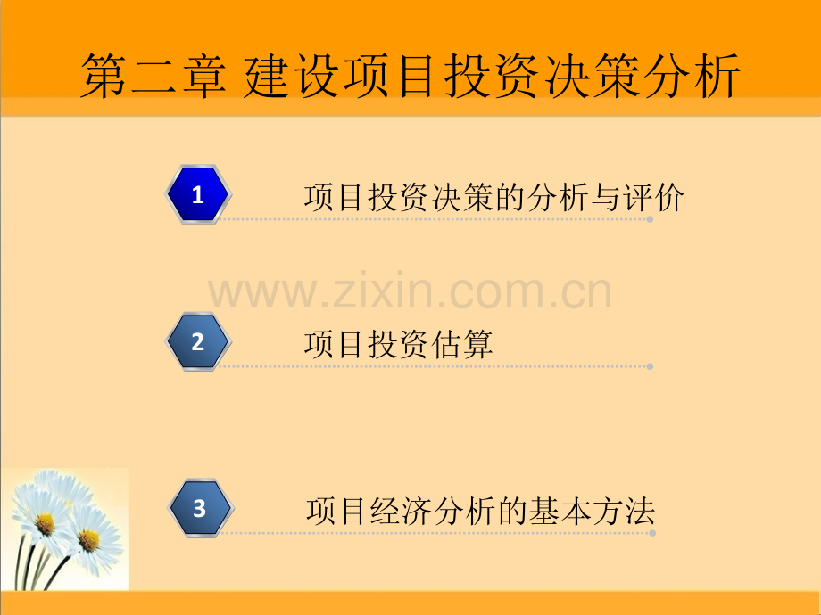 建设项目投资决策分析.ppt_第1页