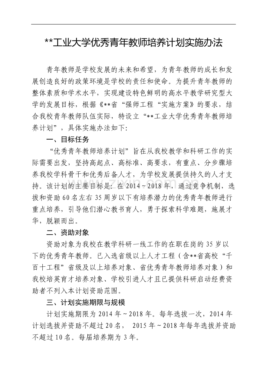 工业大学优秀青年教师培养计划实施办法模版.doc_第1页