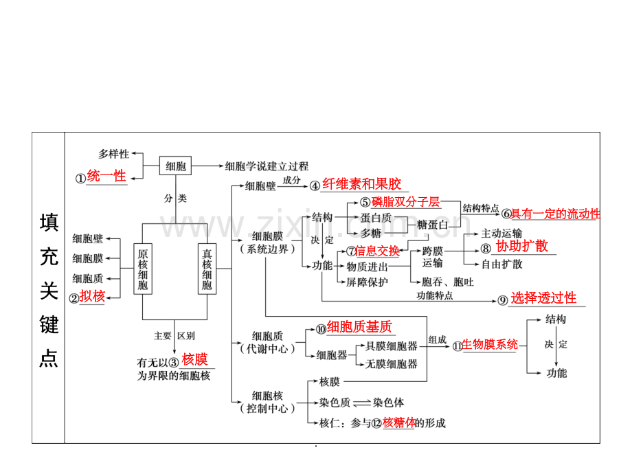 二轮复习知识框架.ppt_第2页