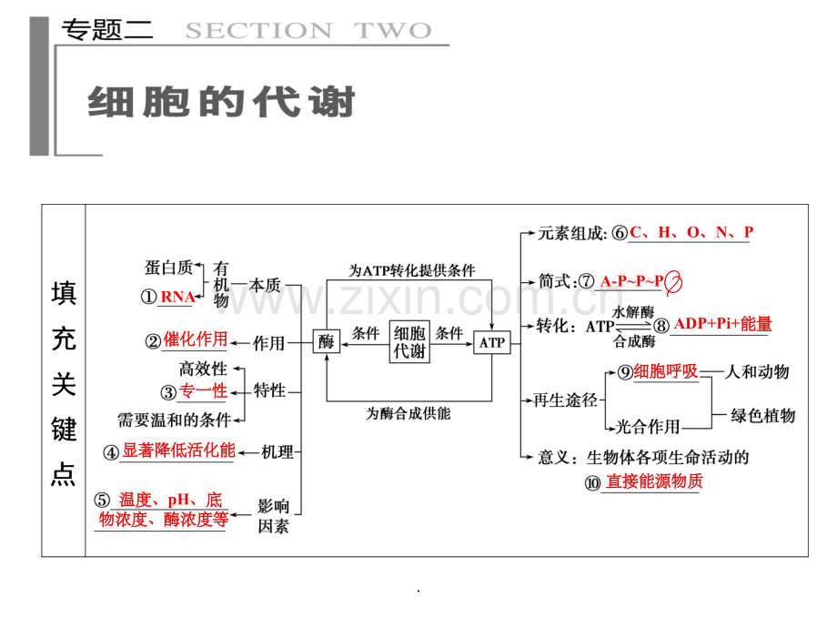 二轮复习知识框架.ppt_第3页