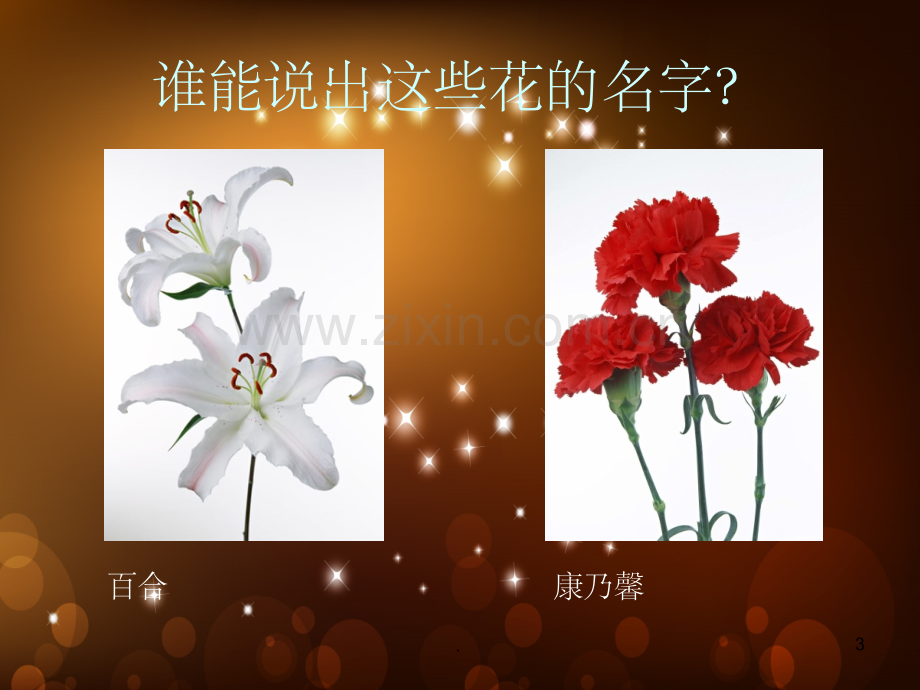 生活与艺术中的花.ppt_第3页