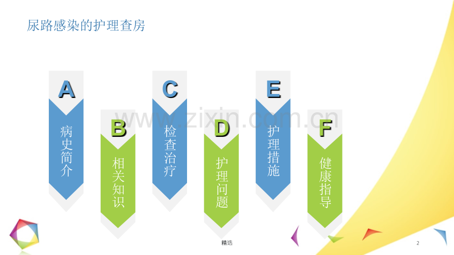 尿路感染护理查房.ppt_第2页