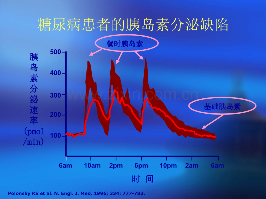 胰岛素及注射装置的简要介绍.ppt_第3页