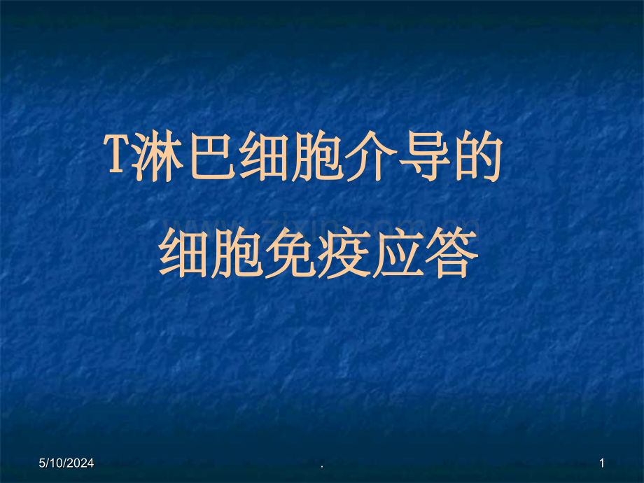 细胞免疫应答.ppt_第1页