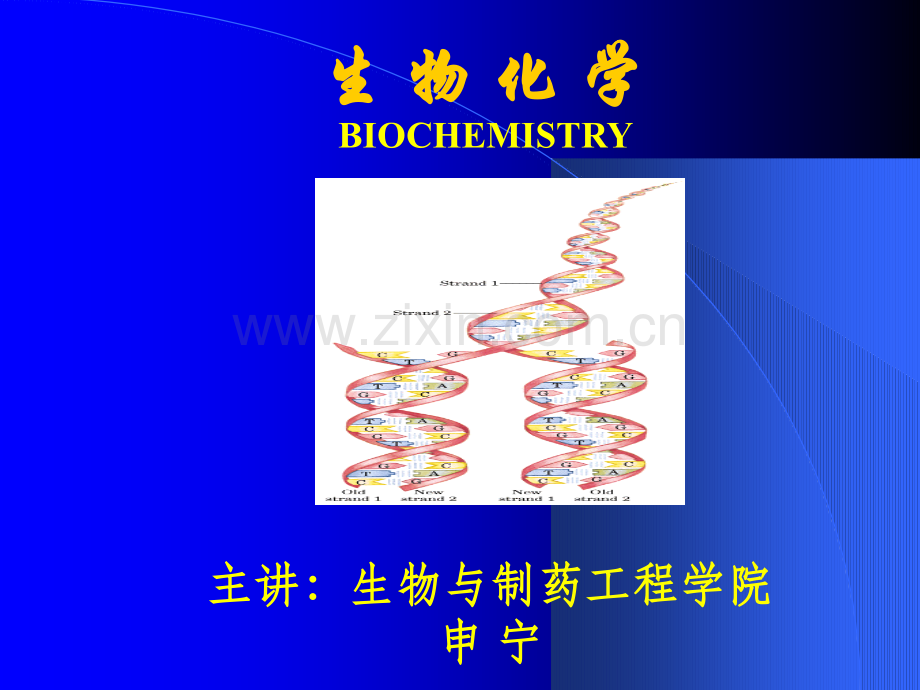 第一章-生物化学绪论.ppt_第1页