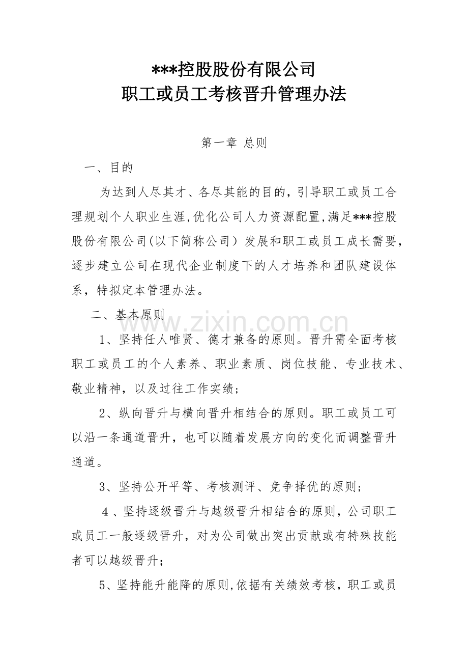 控股股份有限公司员工考核晋升管理办法模版.docx_第1页