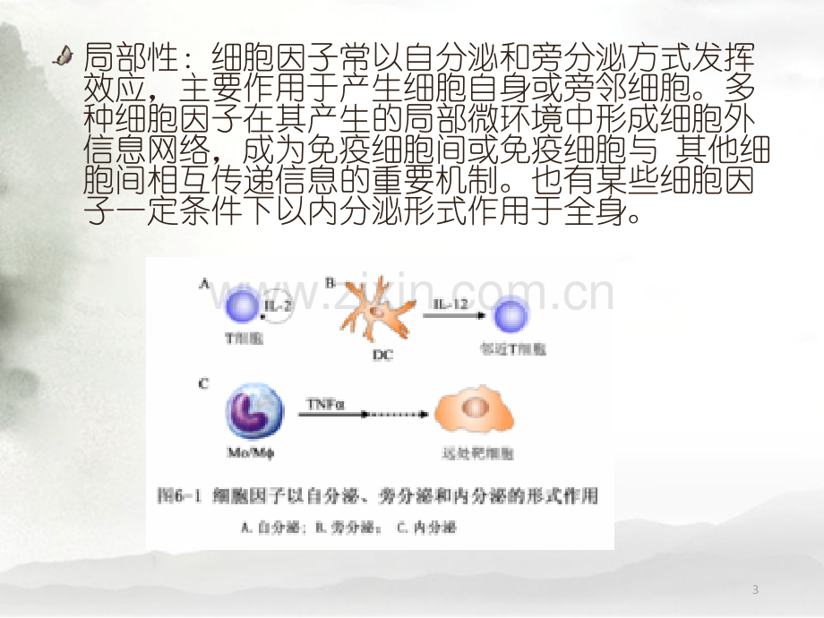 细胞因子的共同特征.ppt_第3页