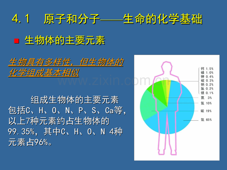 《基础生命科学》生命的基本化学组成.ppt_第2页