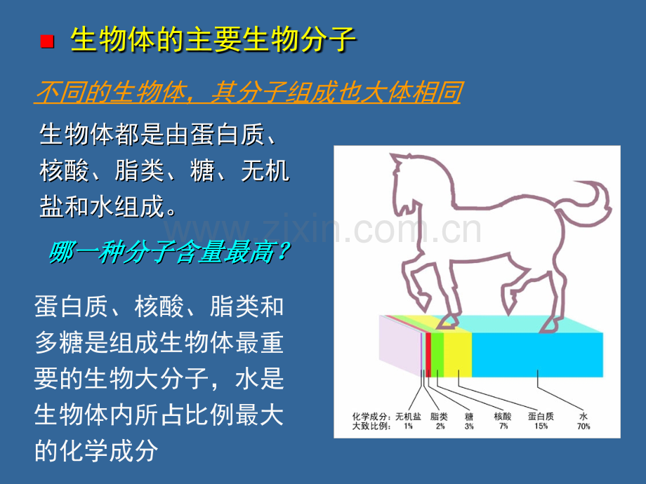 《基础生命科学》生命的基本化学组成.ppt_第3页