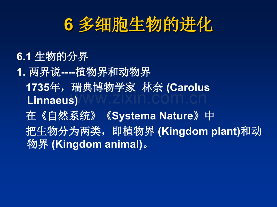 生物的起源与进化-多细胞生物的进化.ppt_第2页