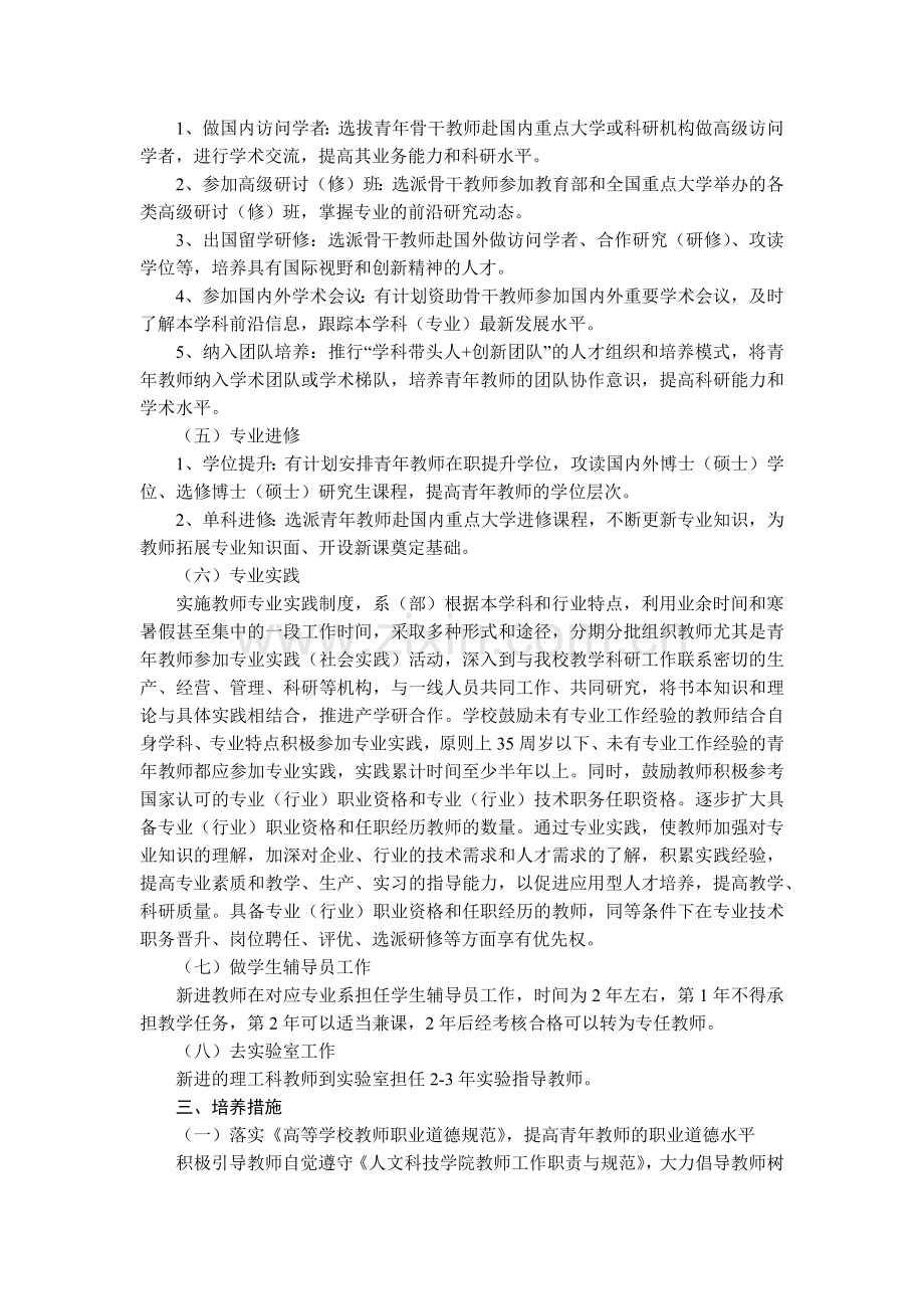 大学大学人文科技学院青年教师培养实施办法模版.docx_第2页