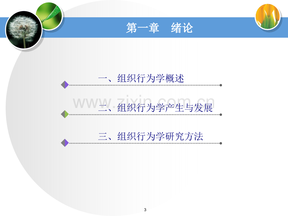 组织行为学第一章绪论.ppt_第3页