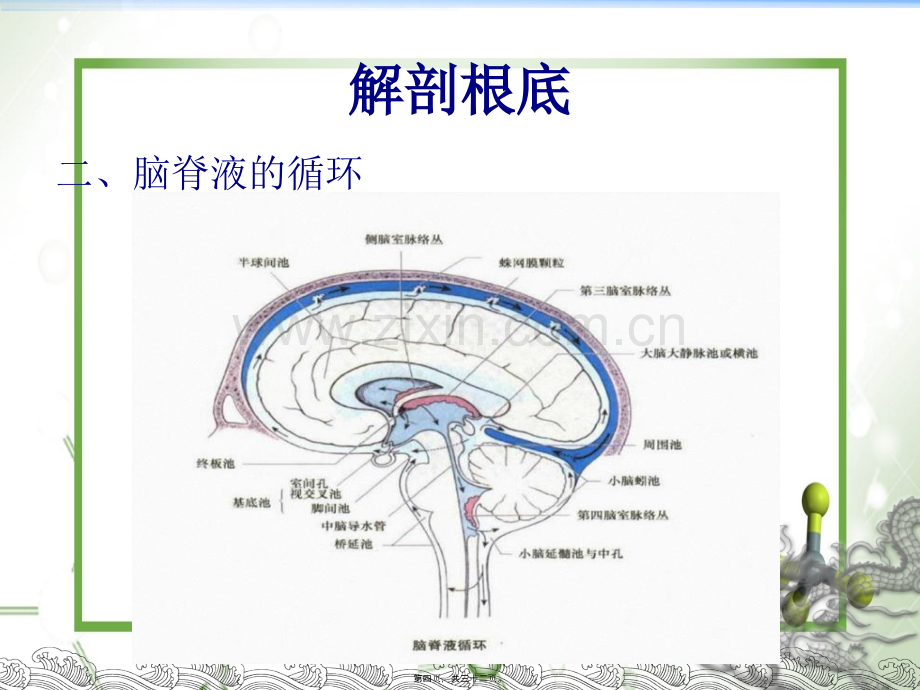 侧脑室穿刺术.pptx_第3页