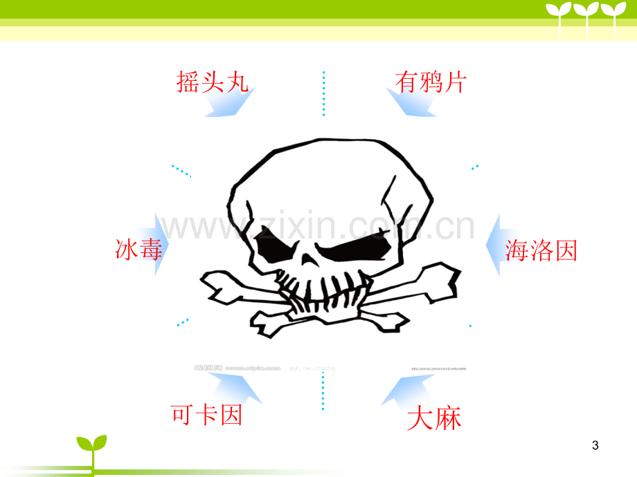 小学一年级禁毒.ppt_第3页