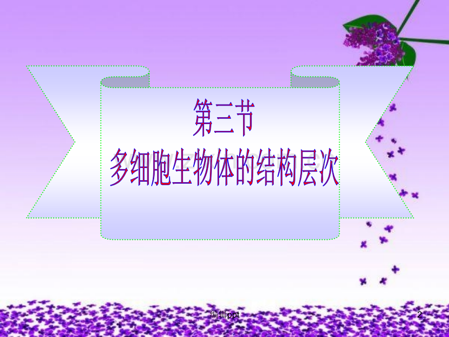 多细胞生物体的结构层次.ppt_第2页