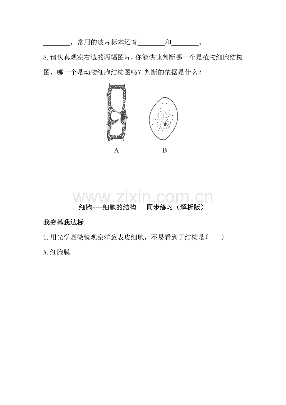 2015-2016学年七年级生物上册知识点同步练习题11.doc_第3页