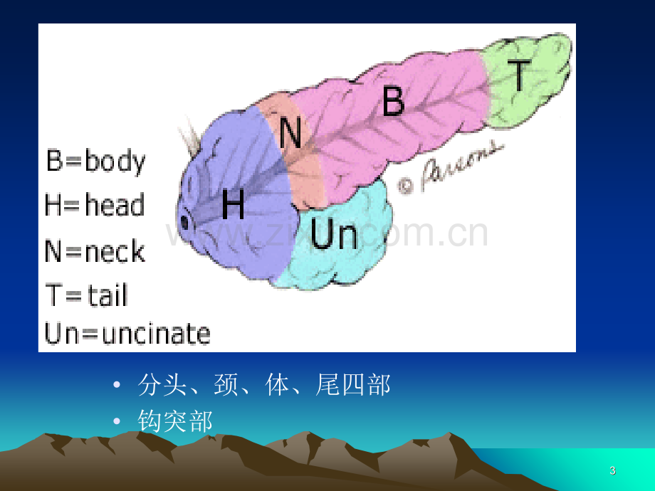 胰腺疾病.ppt_第3页