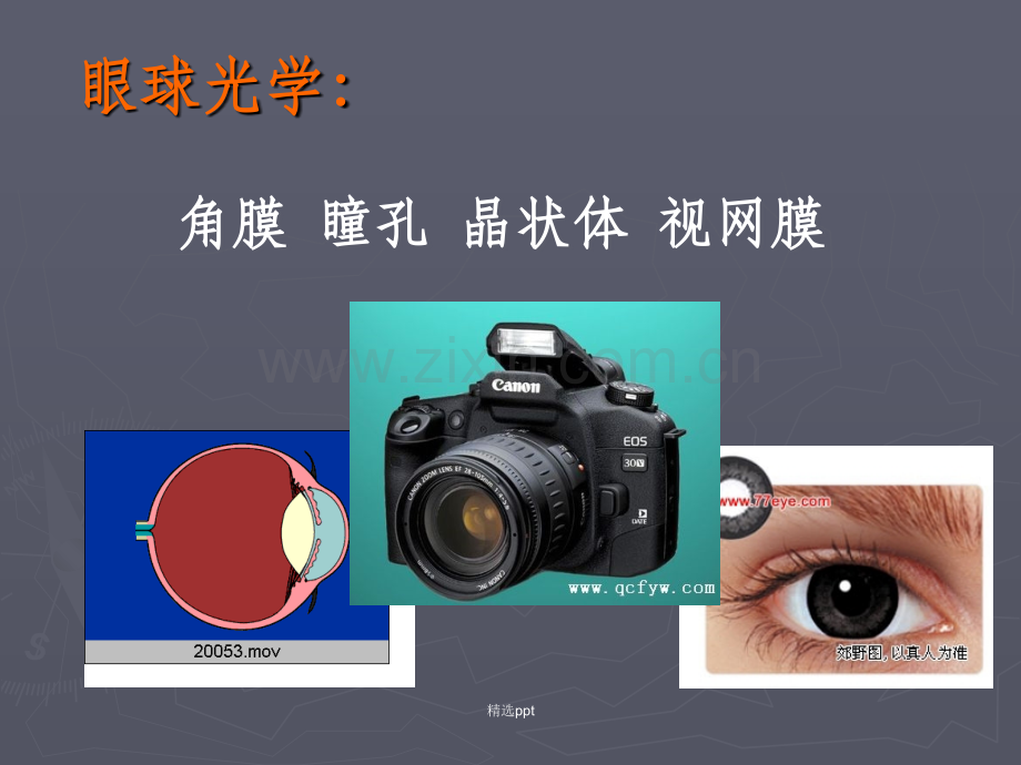 眼视光学基础知识.ppt_第3页